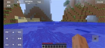 minecraft java版截圖3