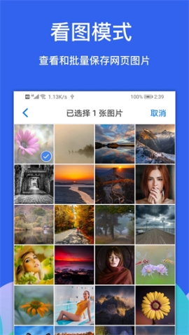 Alook瀏覽器擴(kuò)展插件 v9.2 安卓版截圖3