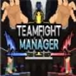 TeamfightManager