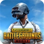 pubgmobile國際服2024